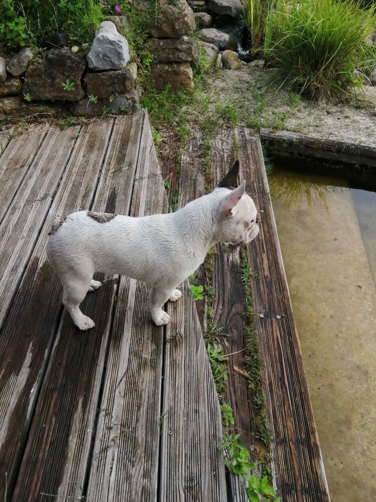 Raya Des Sources Des Cévennes